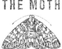 The Moth